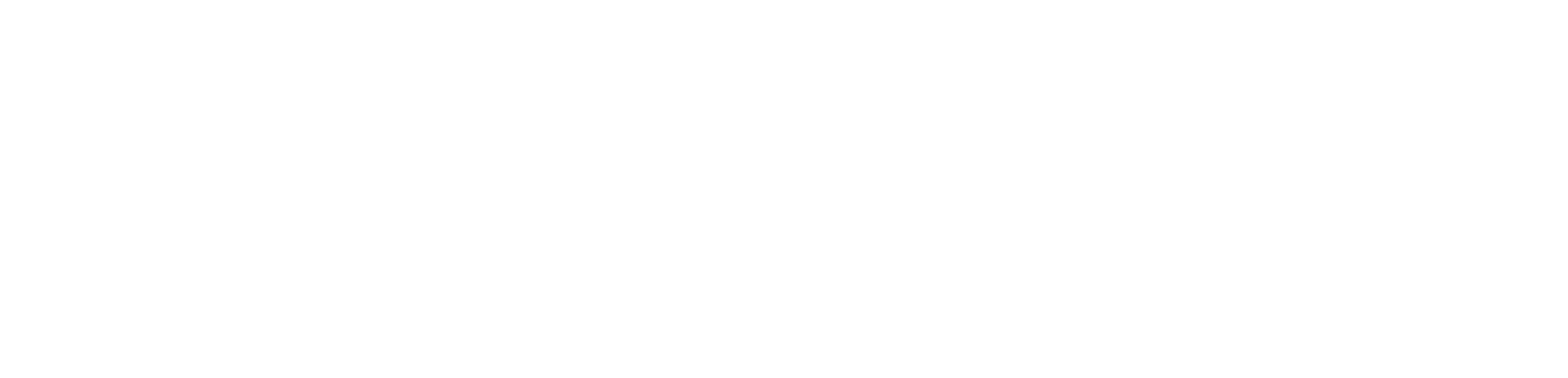 Mission Wellness Logo